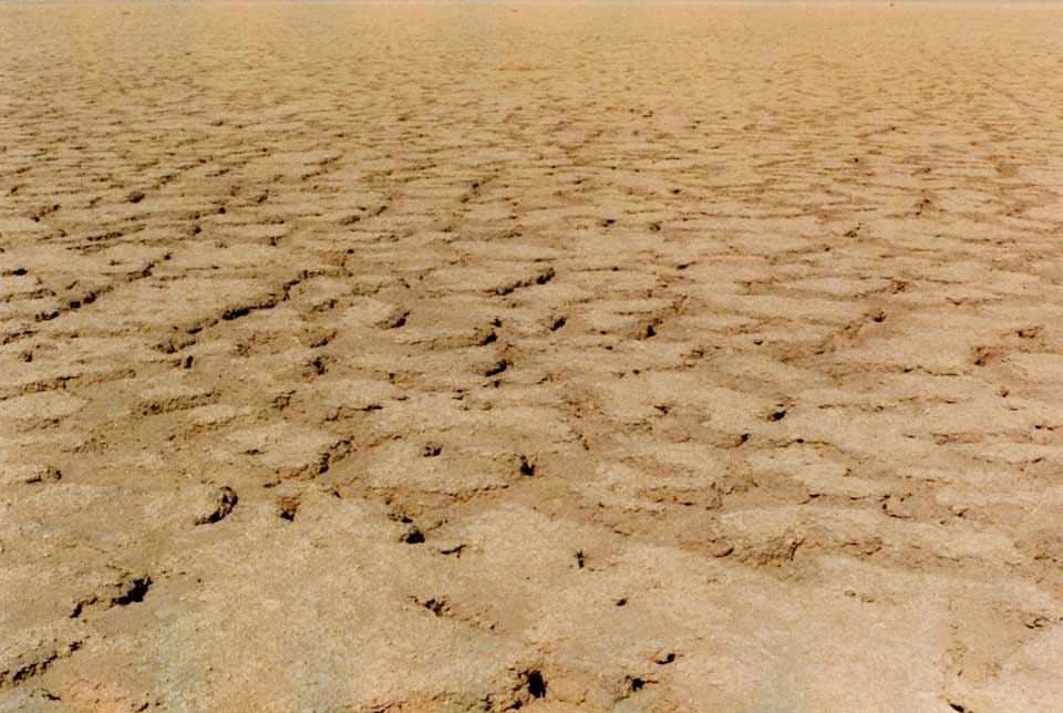 Foto Playa Renate neu.jpg