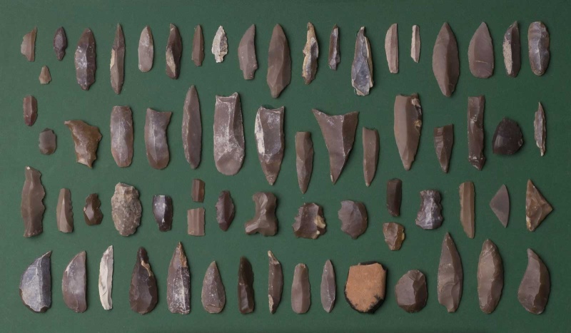 Datei:Eickelkamp 0059 AA Tunesien.jpg