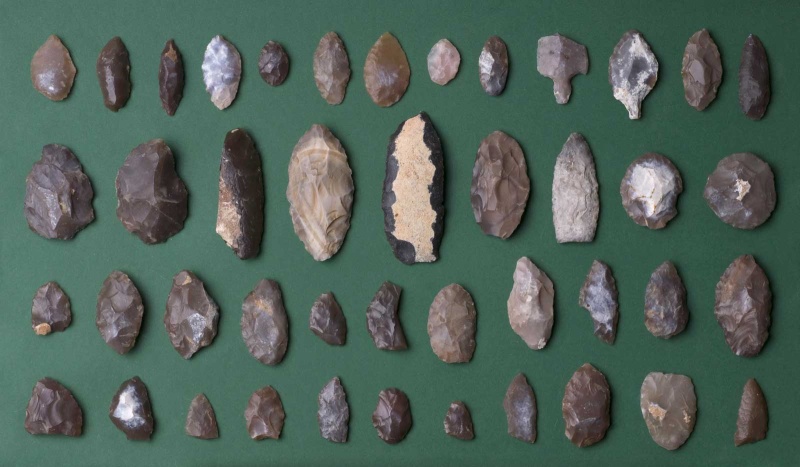 Datei:Eickelkamp 0053 V Tunesien.jpg