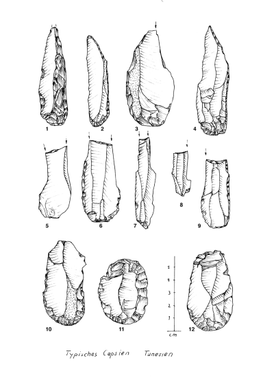 EPI Capsien Tunesien num.png