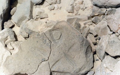 Foto 23 1081 86 Schalenfoermige Gravur 2.jpg