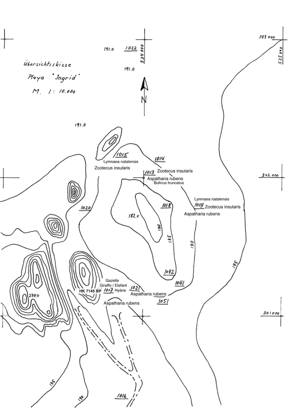 Uebersicht Playa Ingrid Taxa.png