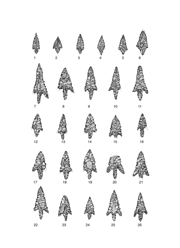 Egypten Tafel 22 Num.png