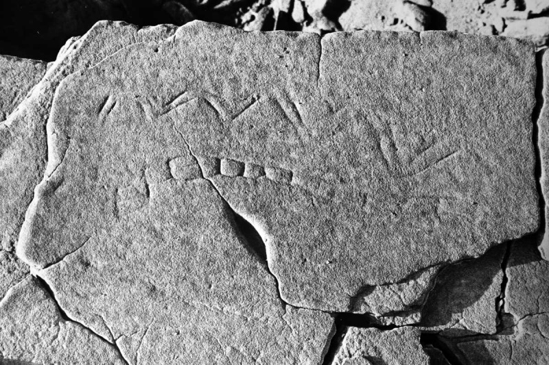 Datei:Foto 12 sw Rene Gebhardt.jpg