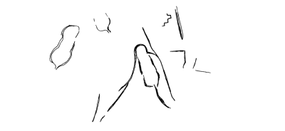 Bild 16 1005 83 Fisch in Draufsicht 1.png