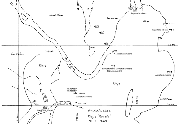 Uebersicht Playa Renate neu Taxa.png