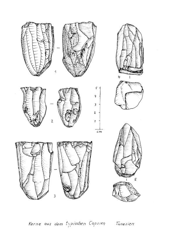 Kerne typischesCapsien Tun.png