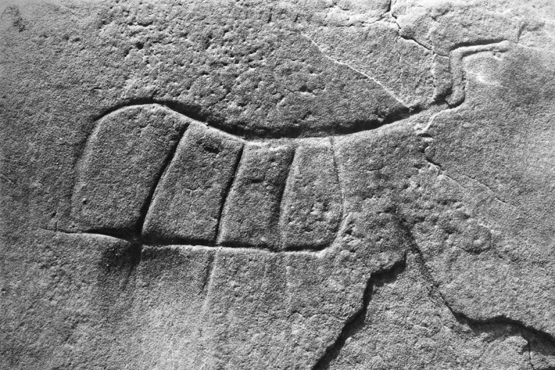 Datei:Foto 7 sw Rene Gebhardt.jpg