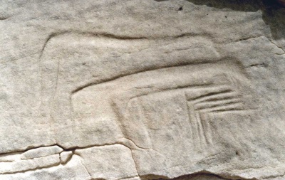 Foto 21 1081 86 Gruppe von Vierbeinern.jpg