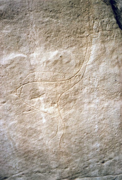 Foto 25 1006 83 Strauß.jpg