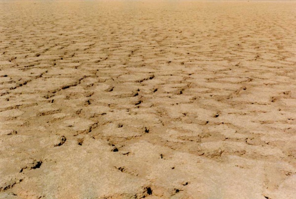 Foto Playa Renate neu.jpg