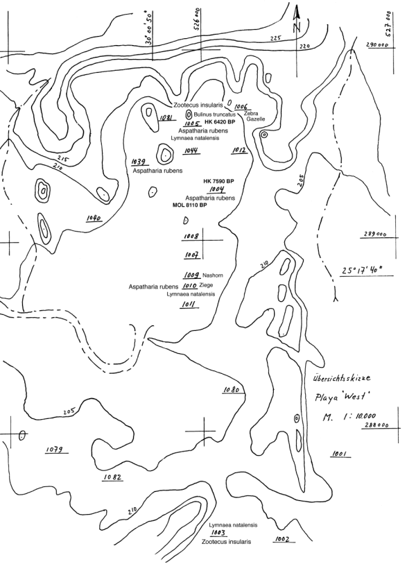 Uebersicht Playa West Taxa.png