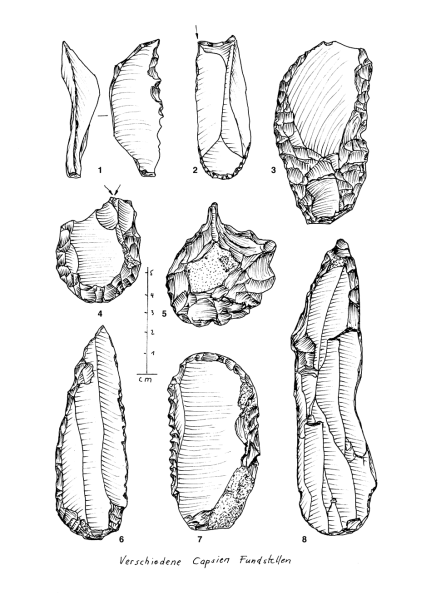 Datei:EPI versch Capsien Tunesien num.png