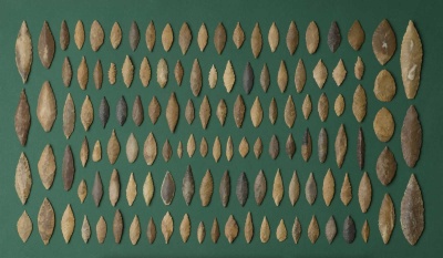 Eickelkamp 0045 9 AbuTartur.jpg