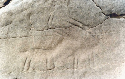 Foto 20 1081 86 Zwei Antilopen.jpg