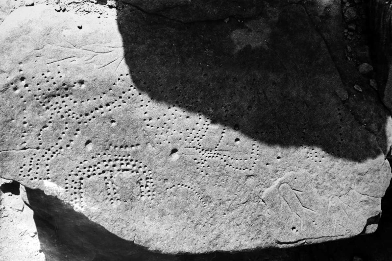 Datei:Foto 5 sw Rene Gebhardt.jpg