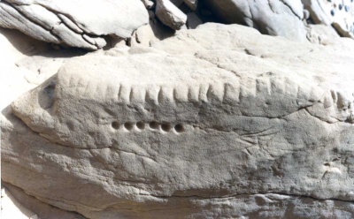 Foto 30 1006 83 Kerbungen u Bohrungen.jpg