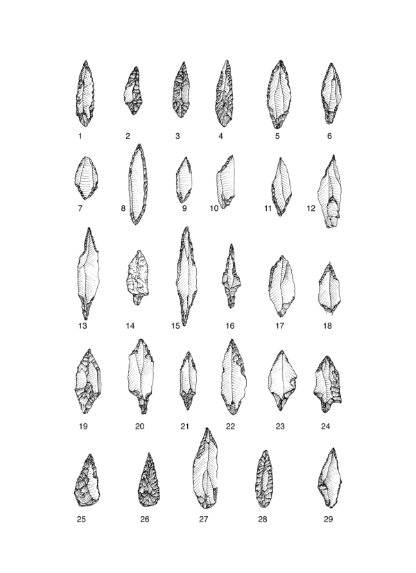 Egypten Tafel 29 Num.png