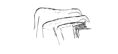 Bild 21 1081 86 Gruppe von Vierbeinern.png