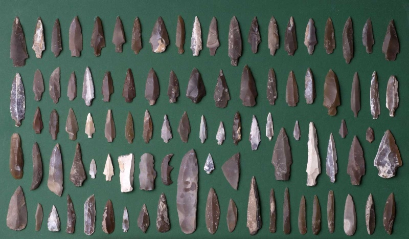 Datei:Eickelkamp 0069 W Tunesien.jpg