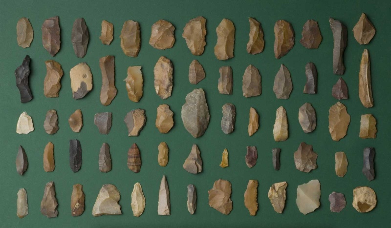 Datei:Eickelkamp 0081 1 JJ AbuTartur.jpg