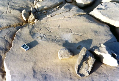 Foto 28 1006 83 Sandale Fragezeichen.jpg