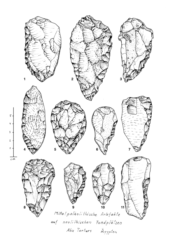 Mitt Palaeo neo Fundpl AT num.png