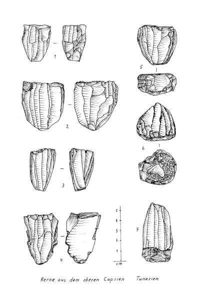 Datei:Kerne oberesCapsien Tun.png