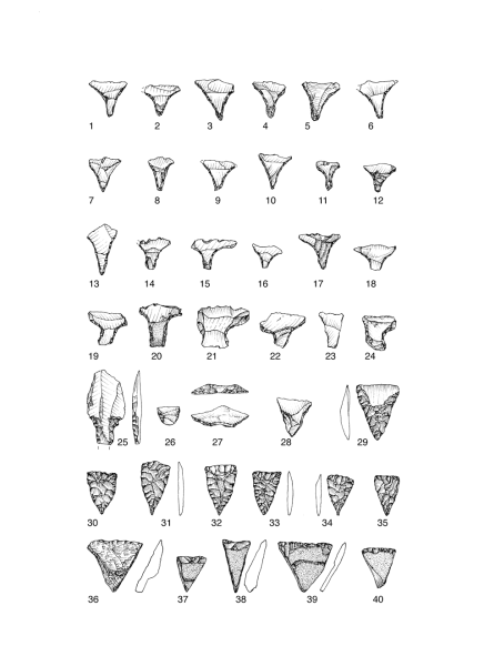 Datei:Egypten Tafel 25 Num.png