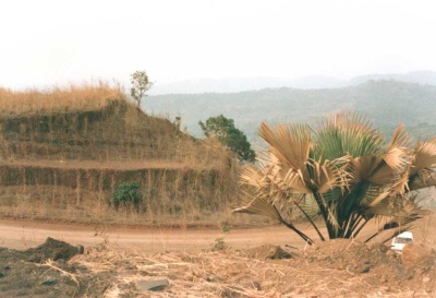 Eickelkamp Duesenhalde.jpg