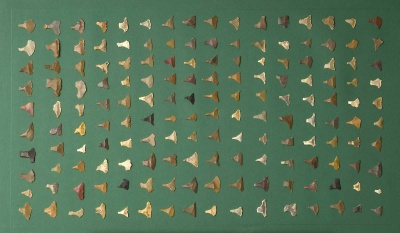 Eickelkamp 0039 4 AbuTartur.jpg