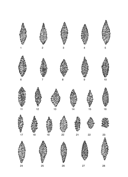 Datei:Egypten Tafel 9 Num.png