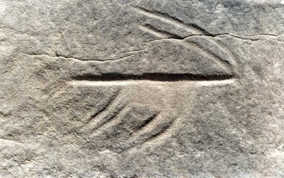 Foto 10 1005 83 fluechtende Antilope.jpg