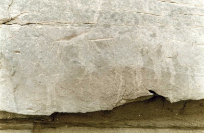 Foto 13 1005 83 Giraffe etc.jpg