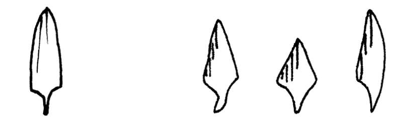 Datei:Gruppe H12.png