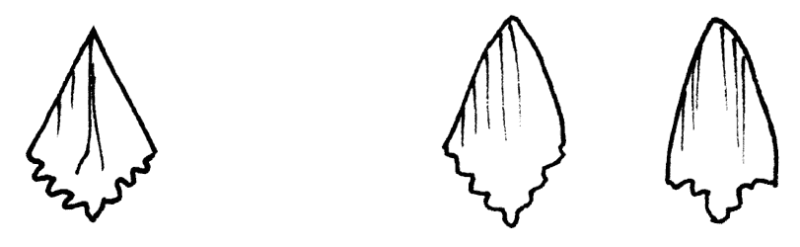 Datei:Gruppe H24.png