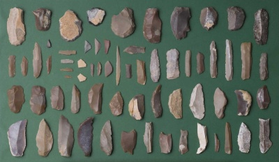 Eickelkamp 0007 T Tunesien.jpg