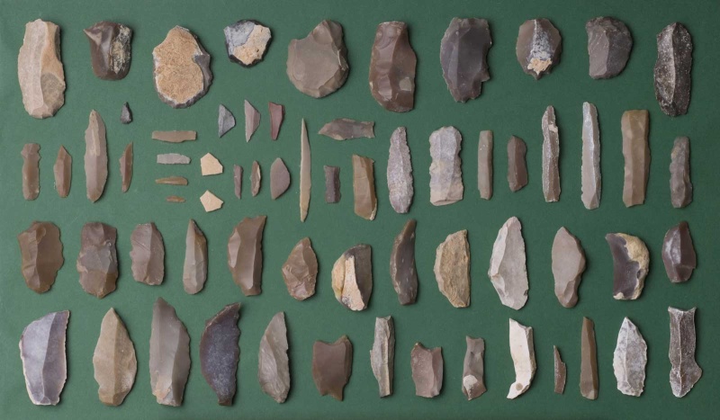 Datei:Eickelkamp 0007 T Tunesien.jpg