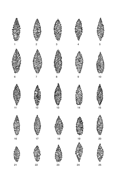 Datei:Egypten Tafel 8 Num.png