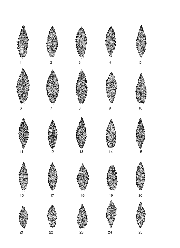 Egypten Tafel 8 Num.png