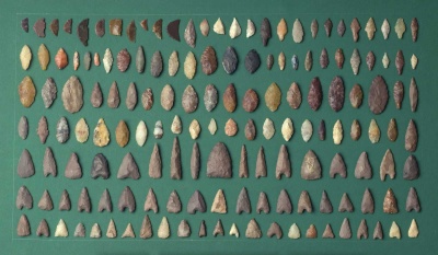 Eickelkamp 0024 2 Niger.jpg