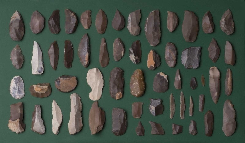 Datei:Eickelkamp 0061 R Tunesien.jpg