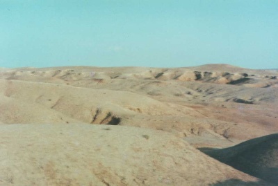 Eickelkamp Acheulfundplatz.jpg