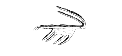 Bild 10 1005 83 fluechtende Antilope.png