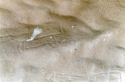 Foto 3 1005 83 Rind 3.jpg