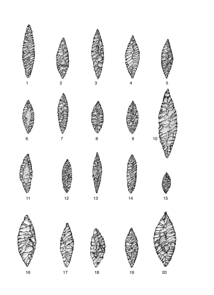 Datei:Egypten Tafel 5 Num.png