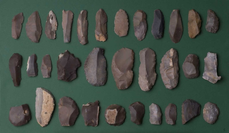 Datei:Eickelkamp 0063 S Tunesien.jpg