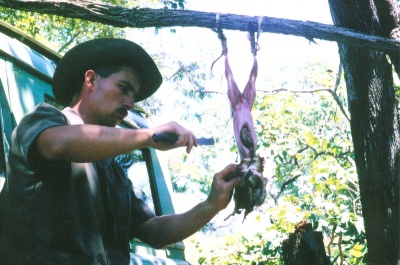 Sambia 1970 Hase.jpg