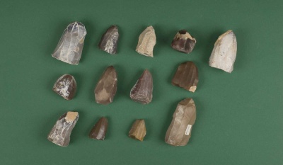 Eickelkamp 0321 Kerne Tunesein.jpg