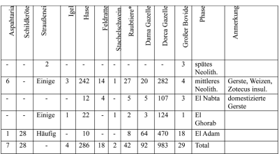 Die Bir Kiseiba Fauna.png